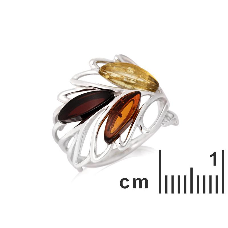 Anello ambra multicolore Mar Baltico, per preservare i ricordi — foto 2